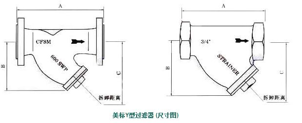 ����Y���^�V���Y���D��