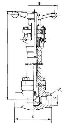 �䓵͜��l�yDZ11H��DZ11Y�Y���D��