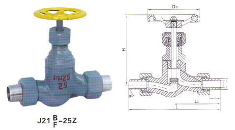 ���ݼy���ý�ֹ�yJ21B�Y���D��