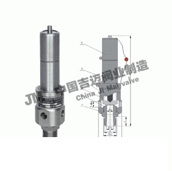 AQ空壓機(jī)安全閥