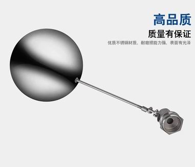 304���P��{���͸����y